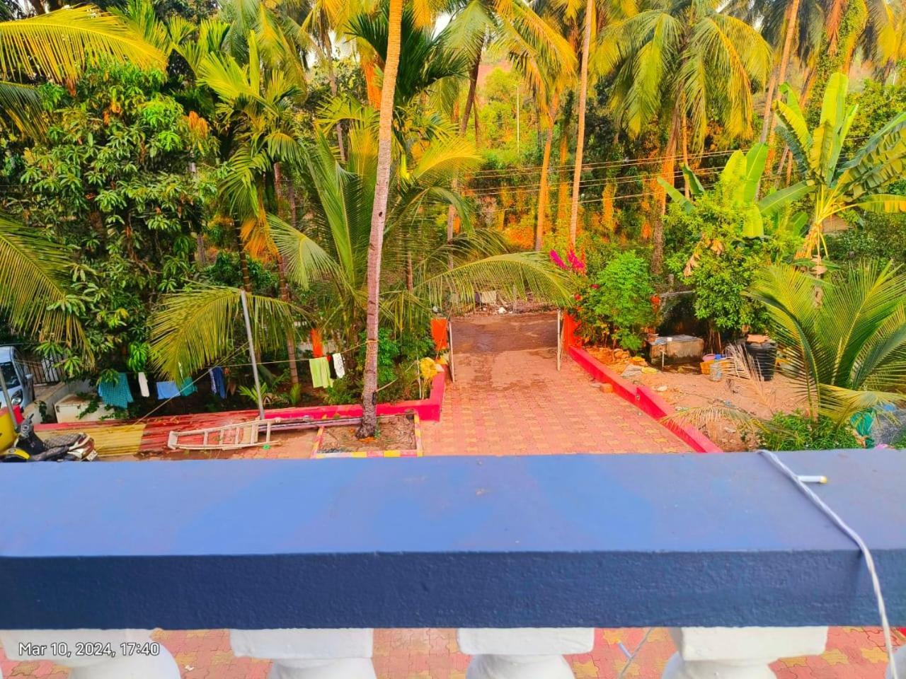 Blue Whale Guest house Canacona